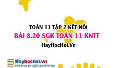 Bài 8.20 SGK Toán 11 Tập 2 Kết nối tri thức